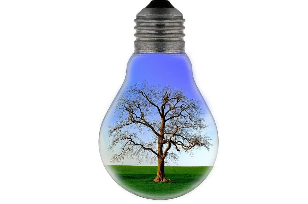 ¿Cómo ahorrar en mi factura de la luz en otoño?