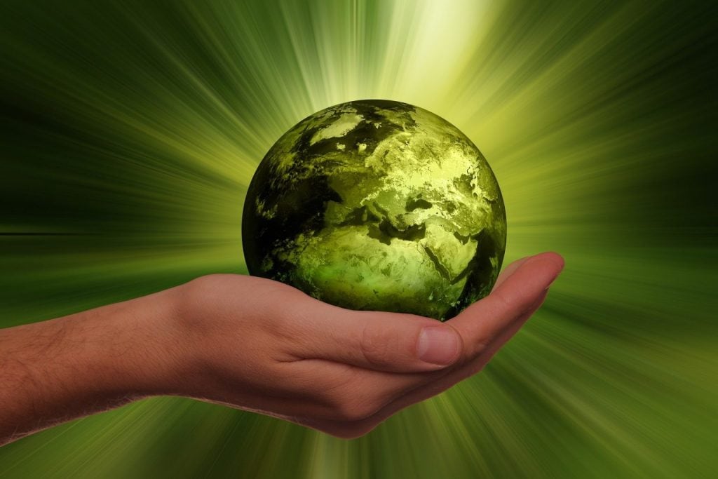 Día de la Educación Ambiental: Historia y Plan de Acción